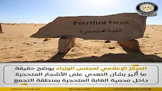 الحكومة تحسم الجدل بشأن التعدي على أشجار محمية الغابة المتحجرة