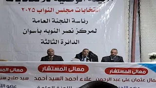 انتخابات مجلس النواب 2025.. الحصر العددي للدائرة الثالثة في أسوان- صور