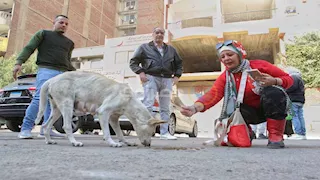 بالصور.. مصراوي يوثق فعاليات مبادرة "إيد واحدة ضد السعار" بعين شمس