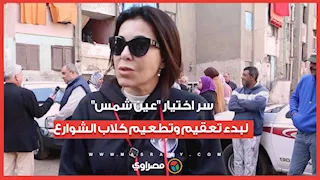 سر اختيار "عين شمس" لبدء تعقيم وتطعيم كلاب الشوارع