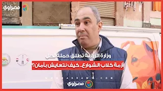 وزارة الزراعة تطلق حملة لحل أزمة كلاب الشوارع.. كيف نتعايش بأمان؟