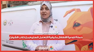 "هدايا وقصص مصورة".. حملة لتوعية الأطفال بكيفية التعامل السليم مع كلاب الشوارع