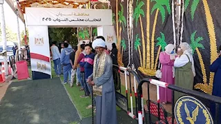  انتخابات مجلس النواب.. إعلان الحصر العددى للدائرة الأولى في أسوان- صور