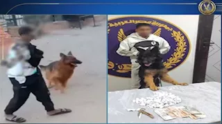   فيديو صادم | شاب يهدد مواطنًا بكلب في شبرا الخيمة والداخلية تتدخل