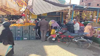 الطماطم بـ 6 جنيهات واللحم بـ 300.. منافذ الوادي الجديد تحارب الغلاء -صور
