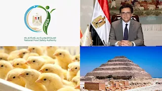 حدث ليلًا| توضيح من الزراعة بشأن ارتفاع أسعار الكتاكيت ووفاة المفكر مراد وهبة