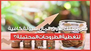 طرح 8 شركات حكومية في 2026..هل يمتلك سوق المال سيولة كافية لتغطية الطروحات المحتملة؟