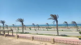 جنوب سيناء تعلن حالة الطوارئ بسبب رياح قوية محملة بالرمال (صور)