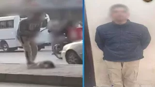 حارس عقار يعذب كلب بعصا في العجوزة