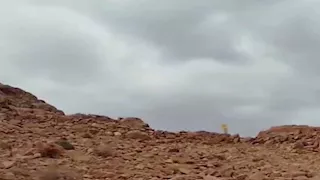 شديد البرودة و شبورة كثيفة.. الأرصاد تكشف تفاصيل طقس الـ6 أيام المقبلة