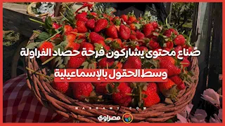 صُناع محتوى يشاركون فرحة حصاد الفراولة وسط الحقول بالإسماعيلية