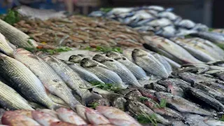 مبادرة مطعم أسماك لتقديم وجبات مجانية للأيتام أسبوعيا تثير الجدل