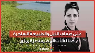 على ضفاف النيل والطبيعة الساحرة.. هنا نشأت المضيفة عزة رمزي