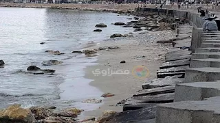 "علوم البحار": 3 عوامل وراء  انحسار مياه البحر في الإسكندرية - صور