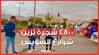 المسطحات الخضراء تزين السويس.. وصول 4800 شجرة بونسيانا وجاكراندا لتشجير والمدارس المحاور الرئيسية