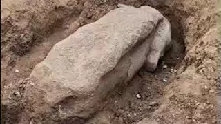 صور جديدة تكشف تفاصيل العثور على بقايا تمثال رمسيس الثاني بالغربية