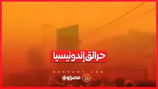 حرائق الغابات تجتاح إندونيسيا.. والدخان يصل إلى دول مجاورة