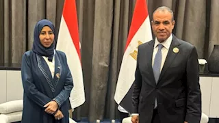 وزير الخارجية يؤكد تمسك مصر بوحدة اليمن