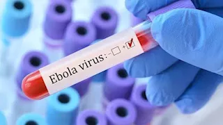 فيروس إيبولا يثير القلق في كينيا.. إصابات جديدة بين العاملين بالقطاع الصحي