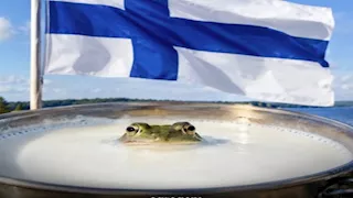 لماذا كان الفنلنديون يضعون الضفادع في الحليب؟.. العلم يكشف السر