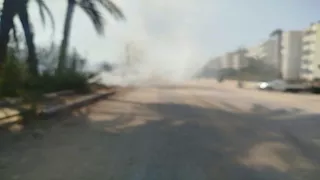 بالصور- السيطرة على حريق في نخيل وحشائش على الطريق الزراعي بالمنيا 
