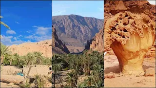 أسرار واحة "عين خضرة" بنويبع بين المياه العذبة والنخيل والجبال الشاهقة - صور