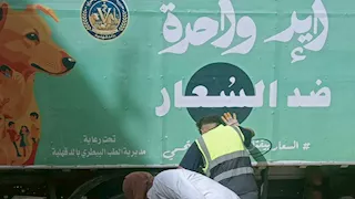 الطب البيطري يواصل حملات مكافحة الكلاب الضالة بشوارع الدقهلية