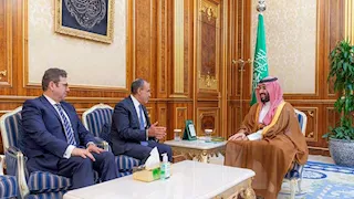 وزير الخارجية يسلم ولي العهد السعودي رسالة من الرئيس السيسي إلى خادم الحرمين الشريفين