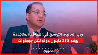 وزير المالية: التوسع في الطاقة المتجددة يوفر 250 مليون دولار لكل جيجاوات