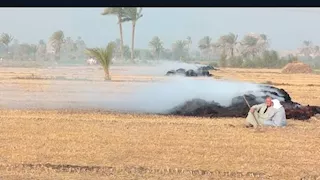 حريق يلتهم محصول 3 أفدنة أرز في الفيوم