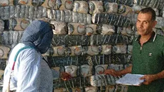 ضبط 5 أطنان من السكر والأرز ناقصة الوزن داخل مصنع تعبئة بالإسماعيلية 