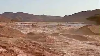 أمطار غزيرة وسيول في وادي السعال بسانت كاترين وإعلان الطوارئ بجنوب سيناء -صور