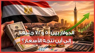 خروج استثمارات أجنبية وضغوط على البورصة.. خبراء يرسمون سيناريوهات الدولار أمام الجنيه