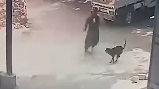 شاب بالمنيا يروي كواليس تصديه لكلب مسعور عقر 20 شخصاً في جبل الطير -صور 
