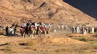 زفاف جماعي وسط الصحراء لأبناء قبيلة الجبالية بمدينة سانت كاترين -صور    