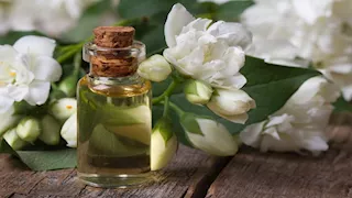 كيف يصنع المختبر رائحة الياسمين في العطور دون وجود الزهرة؟