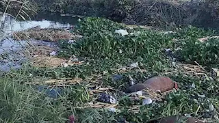 استجابة لمصراوي.. مصدر بالري: رفع مخلفات ترعة أبو دياب بالبحيرة السبت