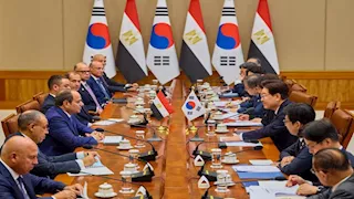 أستاذ علوم سياسية: زيارة السيسي لكوريا محطة مهمة في تطوير العلاقات الآسيوية