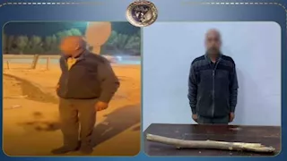 القبض على شخص قتل كلبًا بعصا خشبية في الفيوم