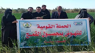 تقييم سلالات جديدة من القمح لمواجهة الإجهاد الملحي في حقول الطور ورأس سدر -صور