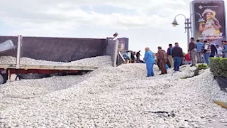 دُفنا تحت الزلط.. مصرع شخصين انقلبت عليهما حمولة تريلا بطريق الإسكندرية الصحراوي- صور