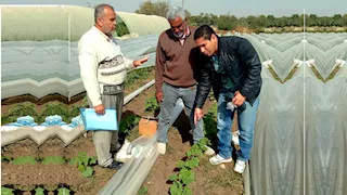 جامعة قناة السويس تطلق قافلة إصحاح بيئي شاملة بمركز ومدينة فايد