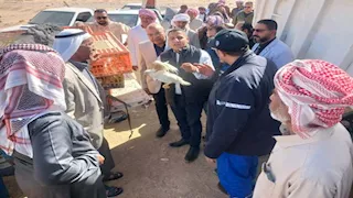  "بحوث الصحراء" يدعم أهالي تجمع الباغة بمشروعات إنتاج حيواني وداجني بجنوب سيناء 