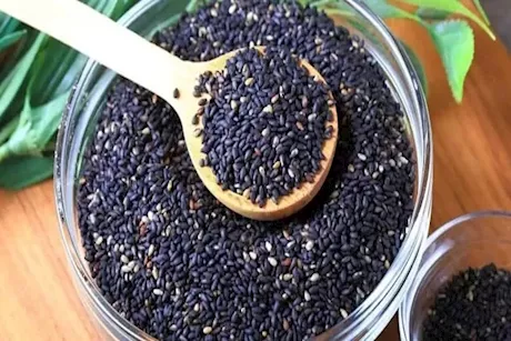 بذور السمسم الأسود.. تناوله بهذه الطريقة يساعد على نمو الشعر