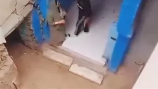 الأم تنازلت عن الاتهام.. إخلاء سبيل شاب متهم بالتعدي على والدته في بنها 