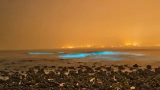 تجربة لا تُنسى.. شواطئ مضيئة تخطف الأنظار ليلا (صور) 