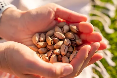 تناول المكسرات.. استشاري يوضح أفضل توقيت لأكلها