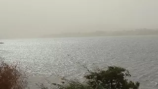 العاصفة الترابية تضرب قنا وتسقط عمود إنارة وأشجار