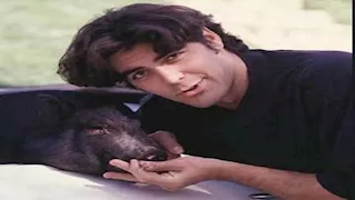 حيوانات غير أليفة في غرف نوم المشاهير تثير الجدل.. ما القصة؟