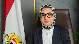 مهلة شهرين.. محافظ الوادي الجديد تعيد كهرباء الزراعة